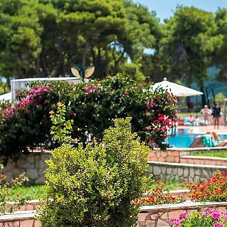 Hotel Village & By Zante Plaza (adults Only) 4*
