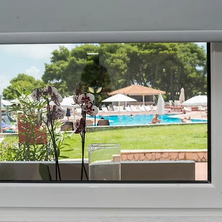 מלון Village & By Zante Plaza (adults Only) 4*